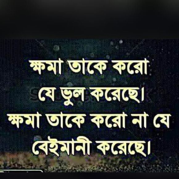 Meet your Posher, Sayed - Picture 1 of 1